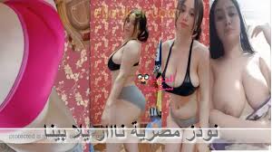نودز بنات مصرية فيديو مجمع لمقاطع الكيرفى المهلبية فشخ 2025