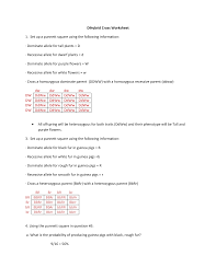 Whether you are looking for essay, coursework, research, or term paper help, or help with any other assignments, someone is always available to help. Http Zanniedallara Weebly Com Uploads 9 7 8 6 9786599 Dihybrid Cross Worksheet Answer Key Pdf