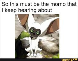 Check spelling or type a new query. So This Must Be The Momo That I Keep Hearing About Avatar The Last Airbender The Last Airbender Avatar Aang