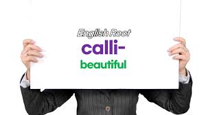 Establishing A Rice Calli Subculture System With Long-Term Morphogenic  Potential