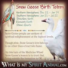 Snow Goose Totem Native American Zodiac Signs Birth Signs Native American Zodiac Signs Native American Zodiac Snow Goose