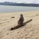 Kami membuat panduan untuk membantumu menghilangkan enam jenis jerawat. Dalacin T Ubat Jerawat Health Beauty Skin Bath Body On Carousell
