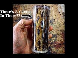 Get free cactus skeleton now and use cactus skeleton immediately to get % off or $ off or free you searched for: Casting Cholla Cactus Skeleton In Clear Resin Youtube