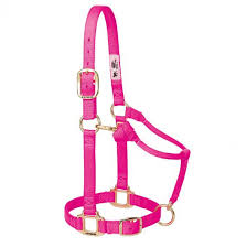 WEAVER verstellbarer Nylon-Stall-Halfter Pink