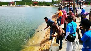 Gratis Biaya Masuk Untuk Pengunjung Kolam Pancing Teluk Air Setokok Tribun Batam