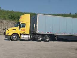 Image result for Yellow 2018 Fleet