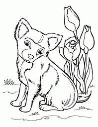 Another in our dog series, today we have husky coloring pages. Husky Coloring Pages Dibujos De Animales Dibujos Y Dibujos De Perros