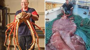 We did not find results for: Wow Inilah Daftar Binatang Terbesar Di Dunia Yang Pernah Ditemukan Blog Unik