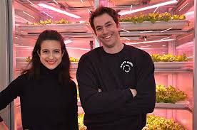 Good Bank Mitte Berlin In House Grown Salads Vegetables L Ema Und Leandro Im Laden Best Bank Vegetable Salad Restaurant