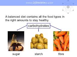 They depend on other organism. Lesson Food Learning Outcomes 1 List Five Main Food Groups 2 Name The Sources Of The Five Main Food Groups 3 Explain The Function Of Each Of The Food Ppt Download
