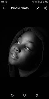 Where to find reliable tuta absoluta lures in Eldoret or Kitale?