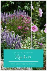 Mein Mini Gartenkurs Wie Du Den Ersten Schritt In Deiner Gartenplanung Findest Mit Bildern Garten