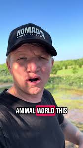 Deer Mount with Coyote Teeth