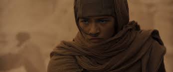 Dune Movie Character Chani Portrayal and Fremen Society