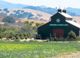 Dierberg & Star Lane Vineyard
