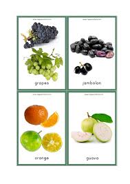 The spruce / bailey mariner naming your new pet bunny can be tough. Free Printable Fruits Flashcards For Preschool And Kindergarten Kids Fruits Names With Picture Megaworkbook