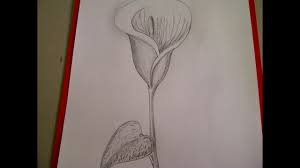 Tiermotive sind zahlreich und immer beliebt. Calla Zeichnen Blume Zeichnen Zeichnen Lernen Fur Anfanger Youtube