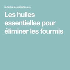 Les Huiles Essentielles Pour Eliminer Les Fourmis Eliminer Les Fourmis Mites Alimentaire Fourmis