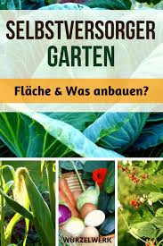 Gemüse selbst anbauen lohnt sich! Selbstversorger Garten Anlegen Flache Was Anbauen