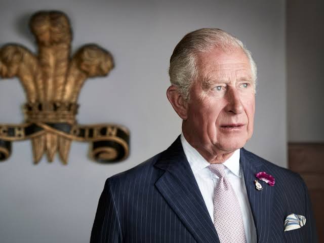 King Charles' Criticism to Slimmed-Down Monarchy Failure