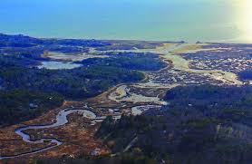 How long did the pilgrims stay in . Did You Know 17 Fun Trivia Items About The Cape Islands Cape Cod Life