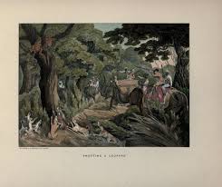 PEOPLE OF INDIA PHOTOS: Old Asian Hunting Photos[HUNTING ANIMALS WAS A HOBBY AND SPORTS FOR THE RULERS-BRITISH]