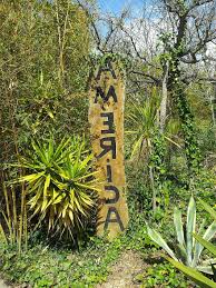 Animals of the central american rainforest this collage. Zoo Summer Jungle South America Nature Rainforest Animal World Travel Park Tourist Attraction Pikist