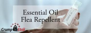 essential oil flea repellent for humans
