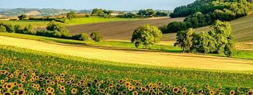 Regurgitation of food or sour liquid. Gers Willkommen Im Herzen Der Gascogne Liste Outdooractive Com