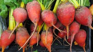 Maybe you would like to learn more about one of these? Storing Beets In The Root Cellar Using Wood Chips To Store Beets The Old Farmer S Almanac