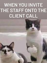 Accounting Memes Useless Staff On A Call Accounting Jokes Funny Animal Quotes Work Jokes