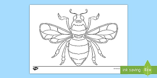 Which of these 18 free coloring pages for adults is your favorite? Bee Template Colouring Sheets Ks2
