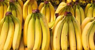 Seperti dibuat keripik atau juga dibuat jajanan pisang goreng atau pisang crispy. 9 Jenis Jenis Pisang Di Indonesia Dan Aneka Olahan Makanannya