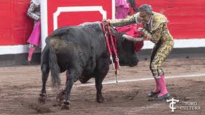 Toro Cultura | Duros de pezuña