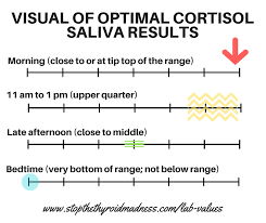 Ftpo Graphic Of Visual Saliva Results Thyroid Results Lab Values Thyroid Labs Thyroid