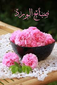 pin by arsana on صباحات good night flowers good morning images flowers good morning roses