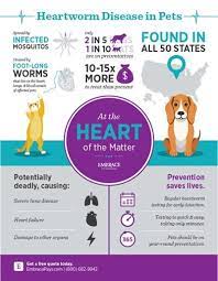 Pin On Helpful Pet Tips