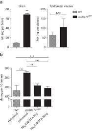 They do not trust humans and do not accept other domestic animals as companions. Mutations In Slc39a14 Disrupt Manganese Homeostasis And Cause Childhood Onset Parkinsonism Dystonia Nature Communications
