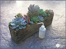 Check spelling or type a new query. Diy Pallet Planter For Succulents The Succulent Eclectic
