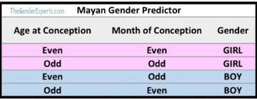 chinese and mayan gender predictor both right in last