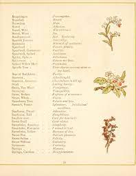 Language Of Flowers Language Of Flowers Flower Meanings Chart Flower Meanings