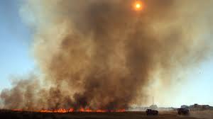 Check spelling or type a new query. Tudo Sobre Incendios Observador