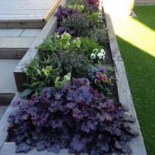 Today was the home tour that i told you about a couple weeks ago. Garden Designer Nottingham Nottinghamshire Garden Design