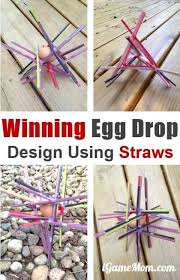 Successful Egg Drop Project Design With Straws Egg Drop Project Science Projects For Kids Science Experiments Kids