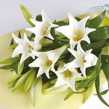 イースターとお花 | 花のある暮らし手帖 | 日本総合園芸