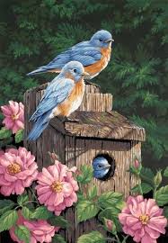 Bird House Kits For Adults Amazon Amazon Com Dimensions Needlecrafts Paintworks Paint By Number Garden Bluebirds Childrens Paint By Number Kits Bluebird Painting Birds Painting Bird Art