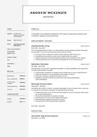 bartender resume template, sample