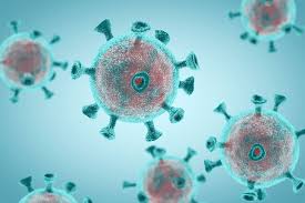 Maybe you would like to learn more about one of these? New Study Of Covid 19 Patient S Immune Response Could Inform Future Treatment Techcrunch
