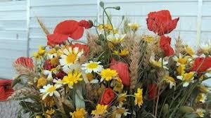 Tm + © 2020 vimeo, inc. Radio Voz Da Planicie 104 5fm Beja Noticias