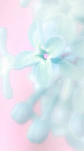 Art Background Beautiful Beauty Blue Background Blue Flowers Colorful Design Flora Flowers Inspiration Blue Flowers Flower Wallpaper Pastel Flowers